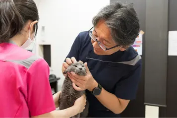 リリーフ動物病院の様子2