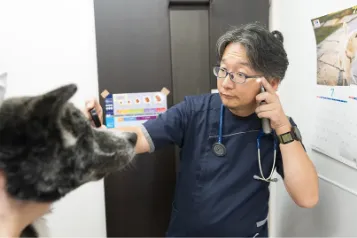 リリーフ動物病院の様子4