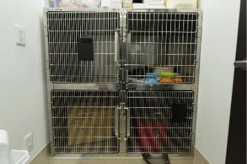 犬と猫の入院室