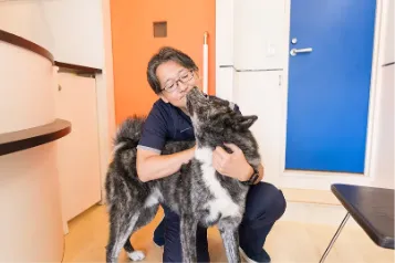 遠藤院長と看板犬