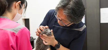コラムメインビジュアル